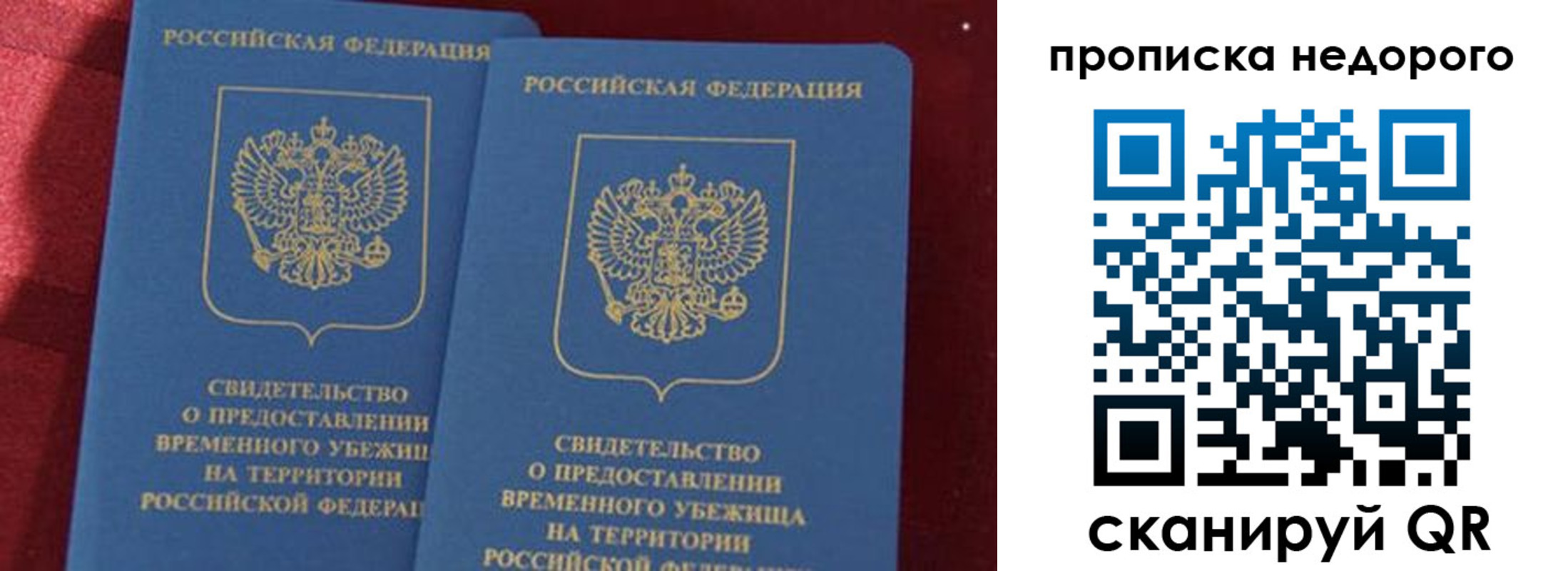 прописка гарантия в Сураже